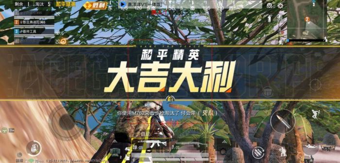 和平精英透视挂永久免费 - 多平台支持防封版本